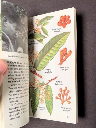 Hallucinogenic Plants A Golden Guide Book 8.jpg