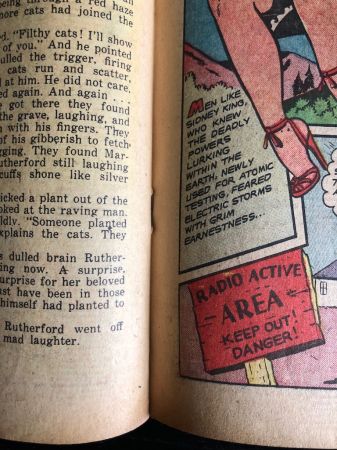 Journey Into Fear No. 7 May 1952 Published by Superior Comic 20.jpg