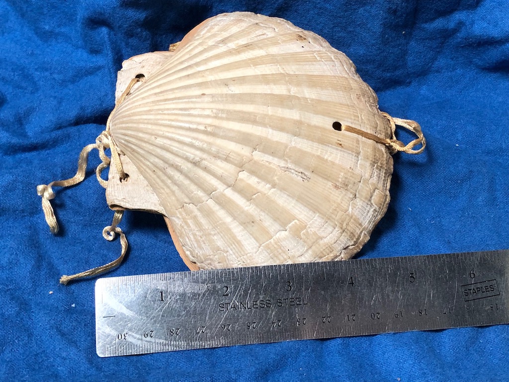 Victorian Era Scallop Shell Book with Pressed Flowers 21.jpg