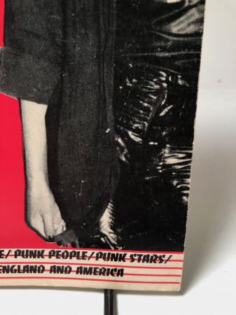 Punk Rock: Style: Stance: People: Stars Published by Urizen Books 1978 1st Edition 4.jpg