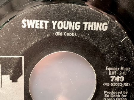 The Chocolate Watchband Sweet Young Thing 6.jpg