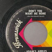 Adams Apples Don’t Take It Out On This World b:w Don’t You Want Me Home on Brunswick 4.jpg