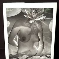 Andre de Dienes Studies of the Female Nude Published by Twin Palms Publishers 2005 9.jpg