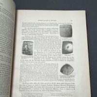 Circulator N0. 6 S.G.O. Reports of the Materials for a Medical and Surgical History of the Rebellion 19.jpg