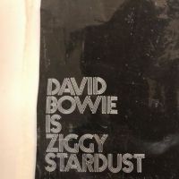David Bowie Promo Bag Ziggy Stardust RCA 14.jpg