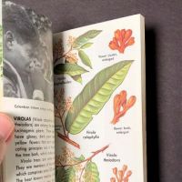 Hallucinogenic Plants A Golden Guide Book 8.jpg