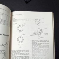 How To Make Amulets Charms and Talismans by Deborah Lippman 1974 Softcover 7.jpg