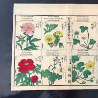 Japanese Herbal Botanical Medical Pages 14.jpg