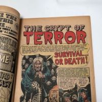 Tales From The Crypt No 31 August 1952 Published by EC Comics 9.jpg