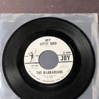The Barbarians Hey Little Bird : You've Got To Understand on Joy Records White Label Promo with Factory Sleeve 4.jpg