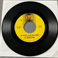 The Driving Stupid Horror Asparagus Stories b:w The Reality of Air Fried Borsk on Kr Records 6.jpg