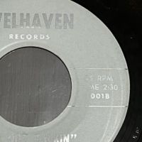 The Ferraris Can’t Explain on Welhaven Records 6.jpg