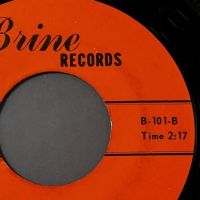 The Foamy Brine Tell Her b:w Ever Changing on Brine Records 9.jpg