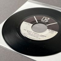The Stalk Forrest Group What is Quicksand on Elektra White Label Promo 11.jpg