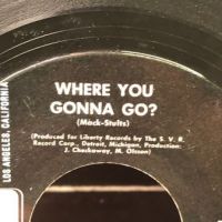 The Unrelated Segments Where You Gonna Go? on Liberty with Factory Sleeve 4.jpg