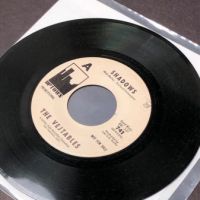 The Vejtables Shadows on Uptown 741 white label promo 13.jpg