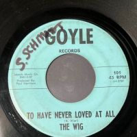 The Wig Drive It Home on Goyle Records 8.jpg