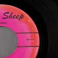 Those Guys Lookin’ At You Behind The Glasses b:w Stereopsis of A Floret on Black Sheep Records 8.jpg