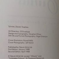 Trophies The Lyrics of David Sylvian 2nd edition 1988 7.jpg