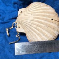 Victorian Era Scallop Shell Book with Pressed Flowers 21.jpg