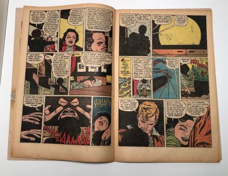Adventures into Darkness No. 8 February 1953 Published by Standard Comics 26.jpg