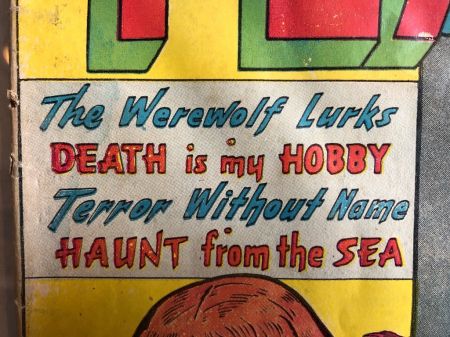 Journey Into Fear No. 7 May 1952 Published by Superior Comic 7.jpg