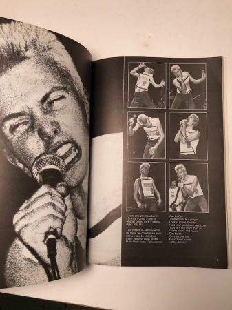 Punk Rock by Virginia Boston Published by Penguin Books 1978 1st Edition 9.jpg