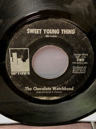 The Chocolate Watchband Sweet Young Thing 2.jpg