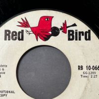 006 Like What, Me Worry b:w Why Can’t I Stay on Red Bird PROMO 10.jpg
