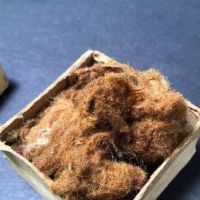 Circa 1900 Box of Pele's Hair Volcanic Lava Glass 5.jpg