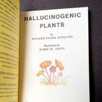 Hallucinogenic Plants A Golden Guide Book 4.jpg (in lightbox)