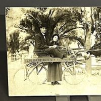 Ostrich Farm in Pasadena California Real Photographic Postcard 1.jpg