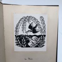 Prentiss Taylor Study and Mock Up Book for Why Birds Sing by Jacques Delamain 16.jpg