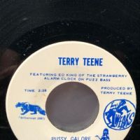 Terry Teene Curse of the Hearse on Iowa Records 6 (in lightbox)