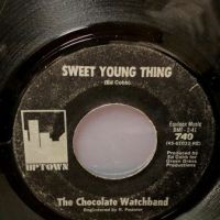 The Chocolate Watchband Sweet Young Thing 2.jpg