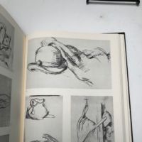 The Drawings of Paul Cezanne a Catalogue Raisonne by Adrien Chappuis 2 volumes in slipcase Pub by New York Graphics Society 1973 21.jpg