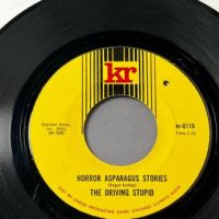 The Driving Stupid Horror Asparagus Stories b:w The Reality of Air Fried Borsk on Kr Records 2.jpg