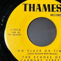 The Echoes of Carnaby Street No Place or Time on Thames Records 5.jpg