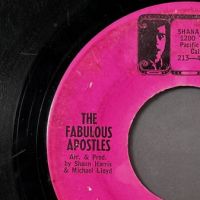 The Fabulous Apostles You Don't Know Like I Know b:w Dark Horse Blues on Shana Records 9.jpg