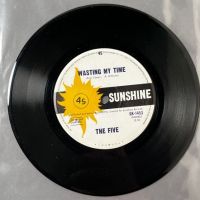 The Five Bright Lights Big City b:w Wasting My Time on Sunshine Records 9.jpg