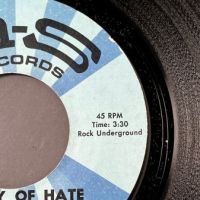 The Just Luv Valley of Hate b:w Good Good Lovin’ on MS Records 3.jpg
