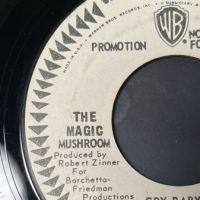 The Magic Mushroom I’m Gone on Warner Bros White Label Promo 9.jpg