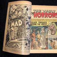 The Vault of Horror No. 27 November 1952 Published by EC Comics 11.jpg
