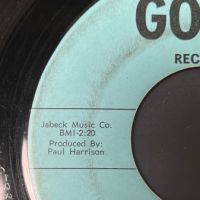 The Wig Drive It Home on Goyle Records 4.jpg