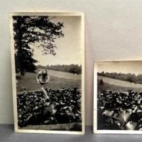 Two Photos and Negative Nude Study of Woman in Pond 1.jpg