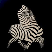 vasarely zebra litho 8 (in lightbox)