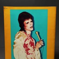 Ziggy Stardust Bowie 1972:1973 Mick Rock Published by St. Martin's Press 10.jpg