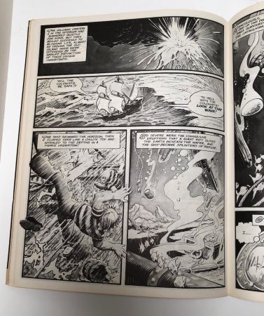 Witzend No 10 1976 Full Color Cover and Back by Wally Wood 13.jpg