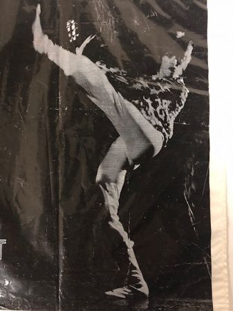 David Bowie Promo Bag Ziggy Stardust RCA 11.jpg