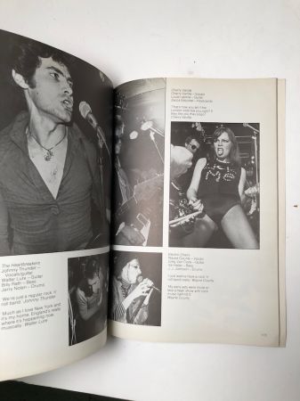 Punk Rock by Virginia Boston Published by Penguin Books 1978 1st Edition 10.jpg
